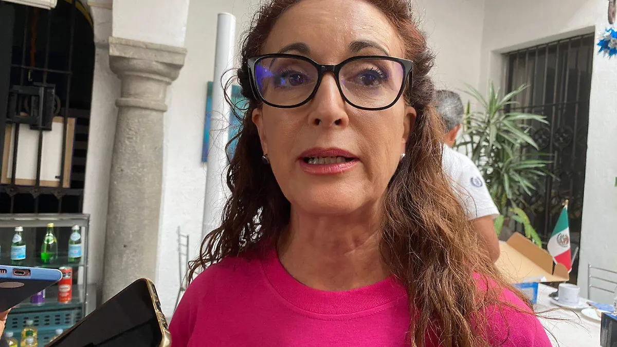 Presidenta del PAN llama a diputados locales a aprobar el DAP